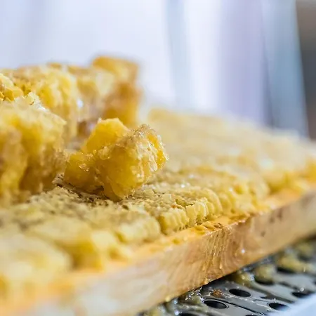 мираж Несебър